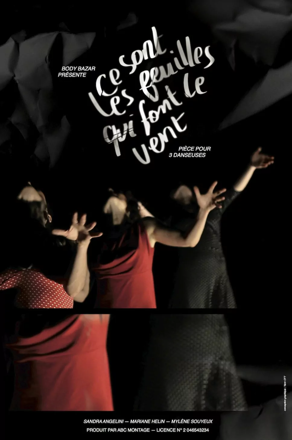 Cie Body Bazar 2009 /2012  spectacle sur le féminin, la transmission Affiche