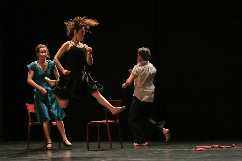 Cie D12 2004 / 2015 spectacle sur le cinéma interieur